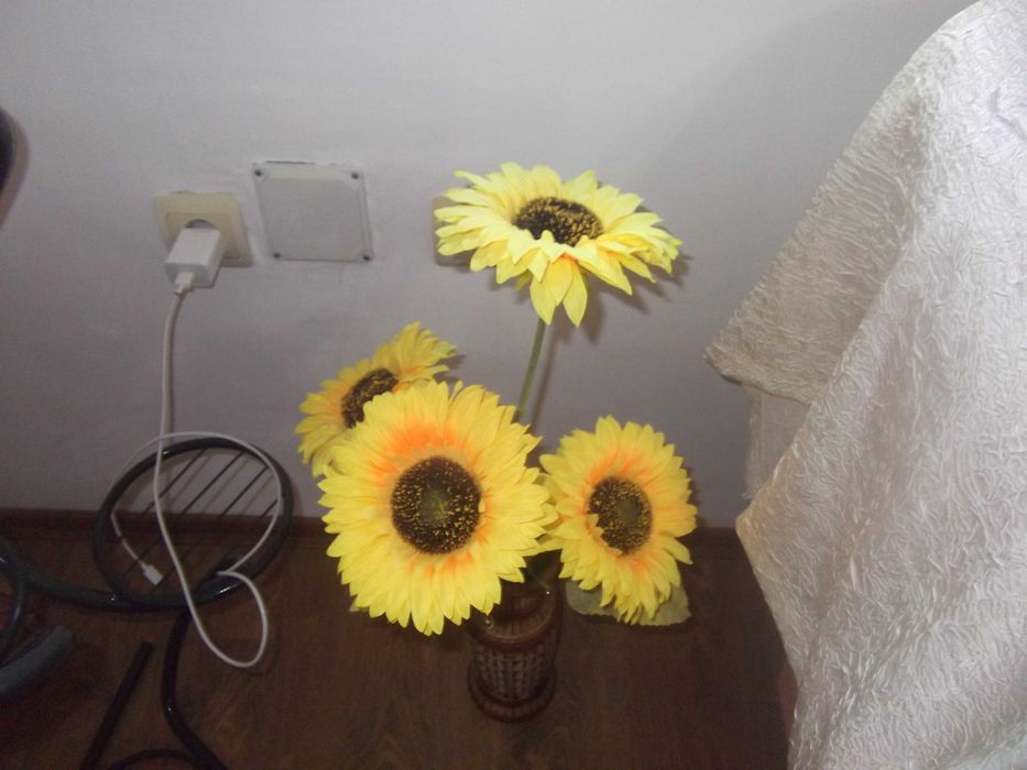 Fujifilm Finepix JX250    14МРх