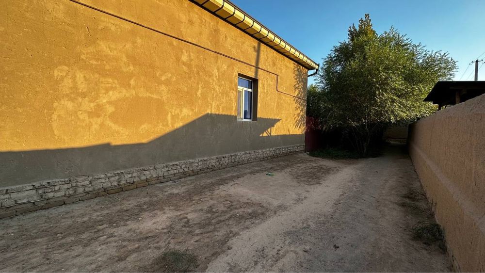 Уй сотилади 8 с/х Хоразм вилоятида