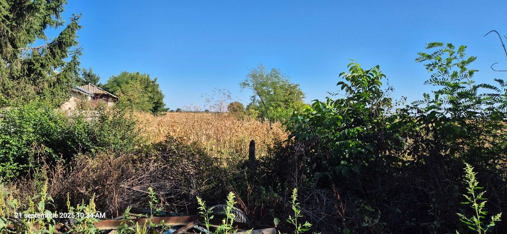 Teren intravilan Odobești, Titu, Dâmbovița 2100 mp