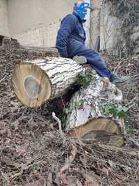 Дървен материал - орех