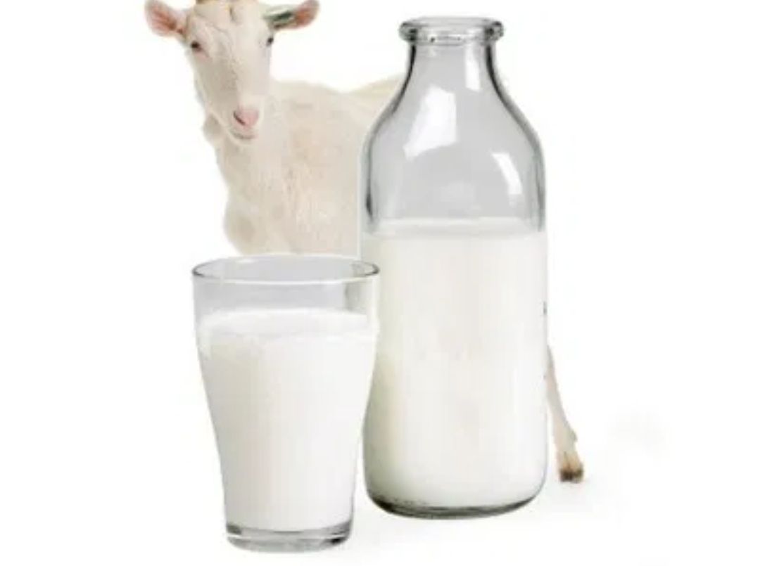 Продается козье молоко!!!
