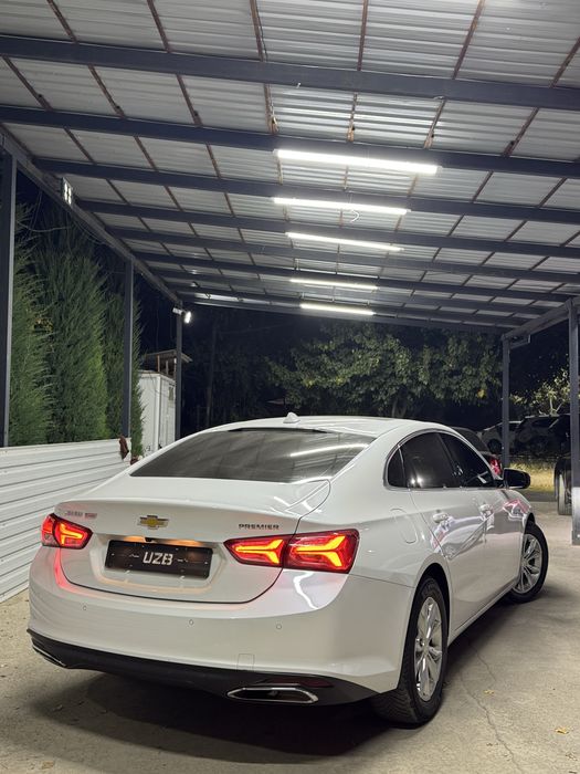 Malibu 2 primer 2022