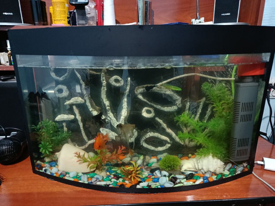 Аквариум сотилади