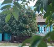 Продам дом в с.Арыкбалык