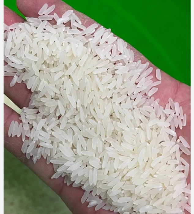 Рис лазер 700 лазер