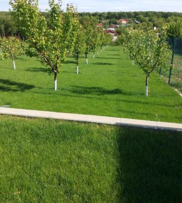 Gazon rulou si sisteme irigati automatizate oriunde in tara