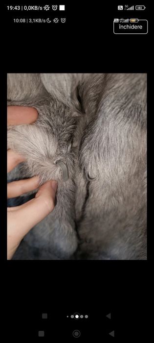 Haină blană capră 100%, mărimea 46