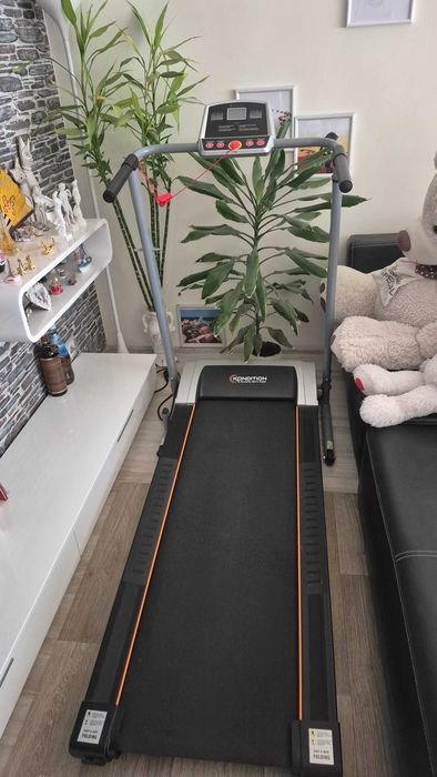 Електрическа пътека