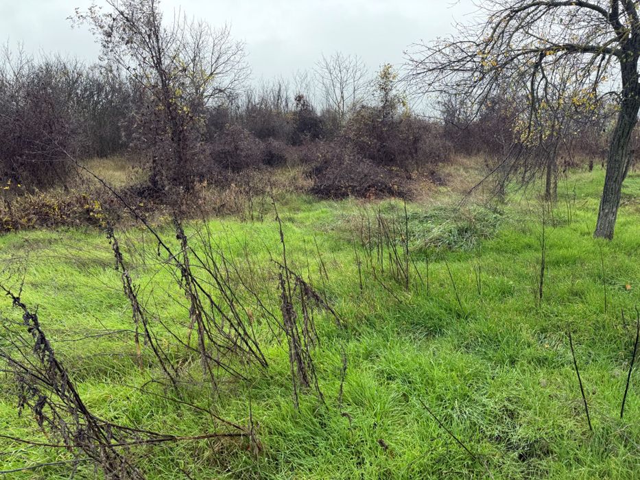 Къщта в с. Дралфа