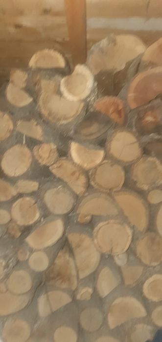 Lemne uscate taiate  la circa 40 cm fag si stejar