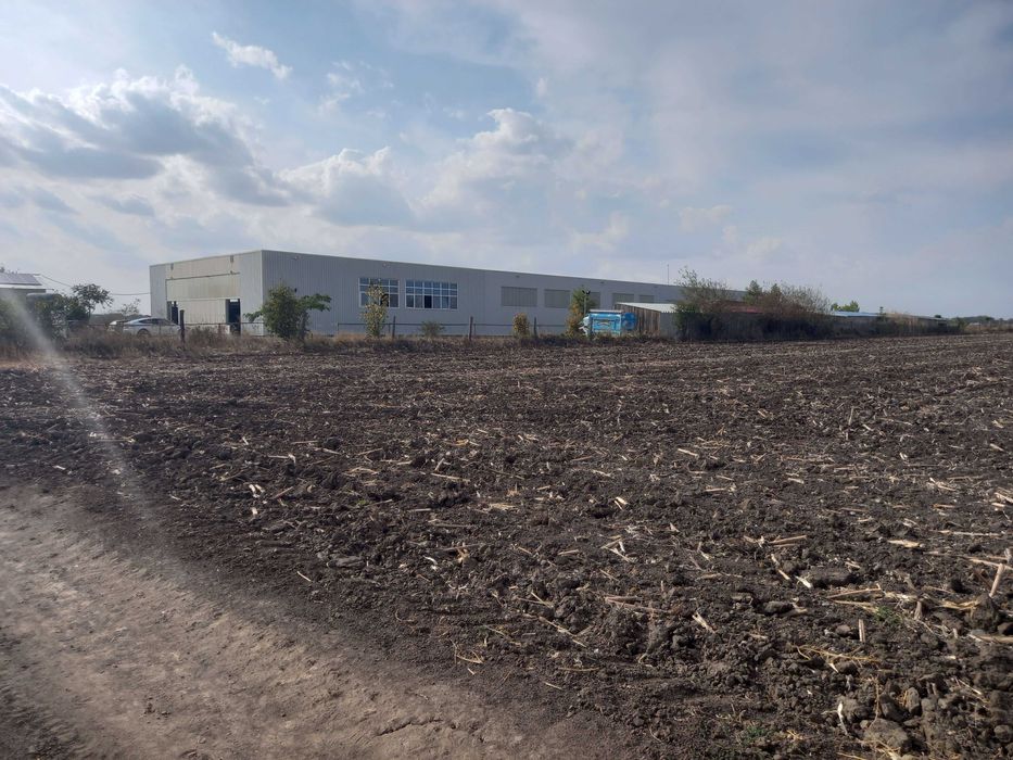 Teren extravilan Dascalu, 10.000 mp