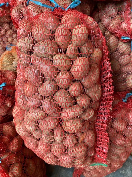 Vând  cartofi pentru animale si pentru comsum