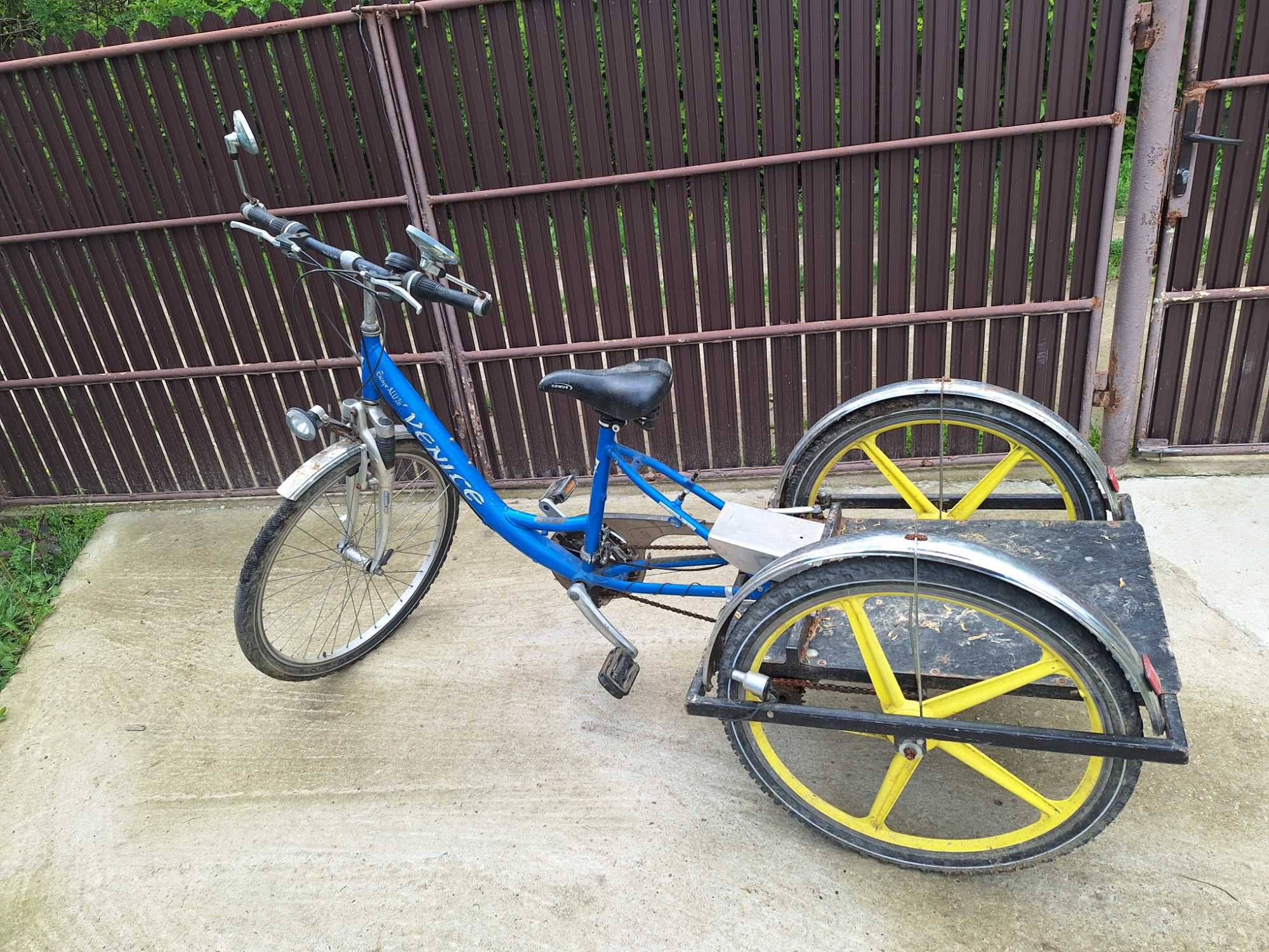 Bicicleta cu roti ajutatoare pentru batrani