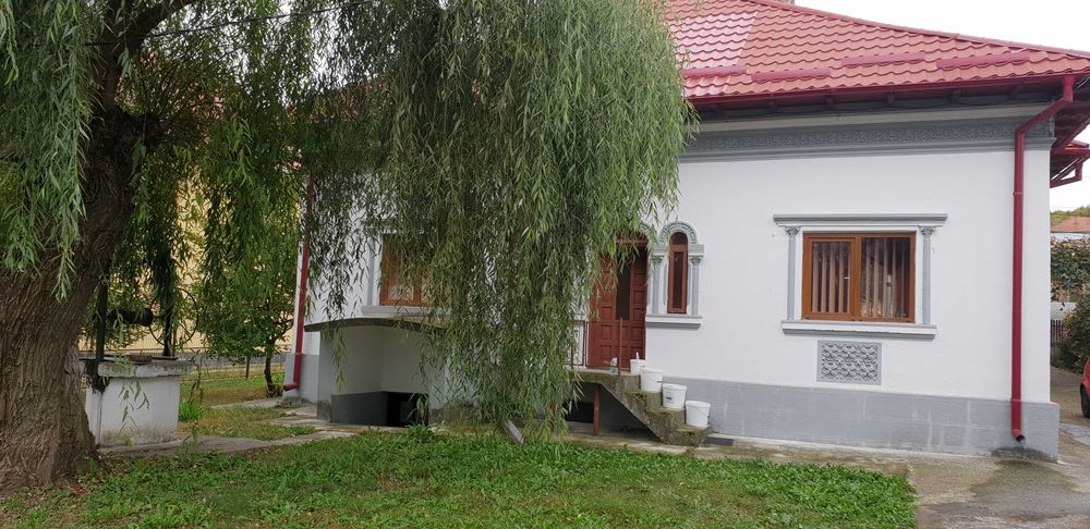 casa + dependinte + teren de vanzare Valea Brazilor, Baiculesti, Arges