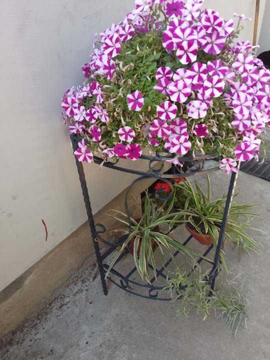 diversze suporti flori