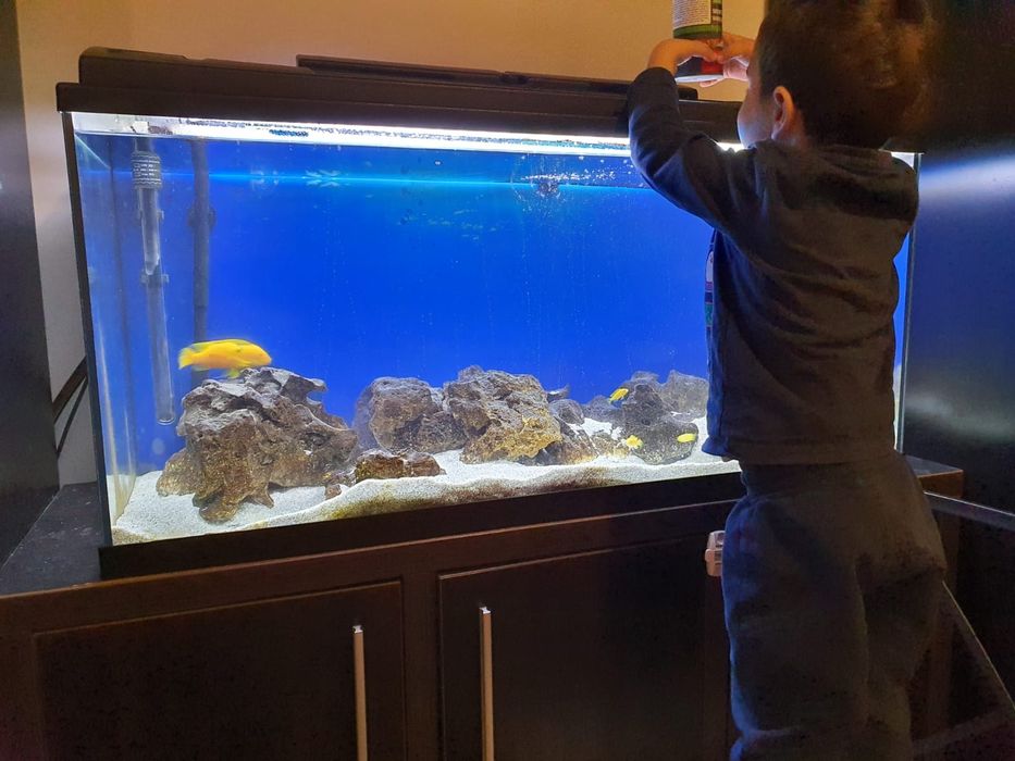 Pietre calcaroase pentru acvariu chiclide