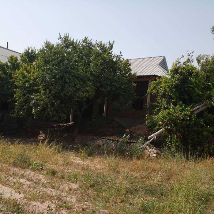 uy sotiladi 15 gektar maydondagi uy