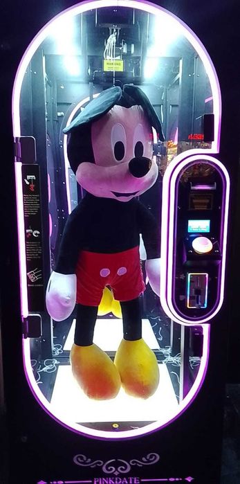 Plusuri Disney land aduse din Olanda