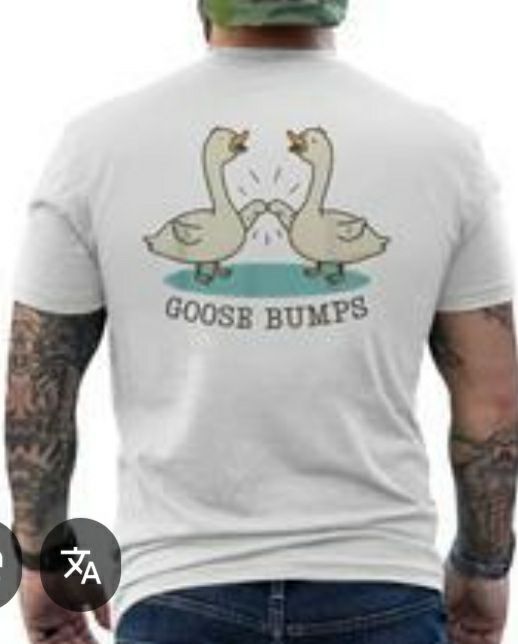 XXL Мъжка тениска Goose Bumps