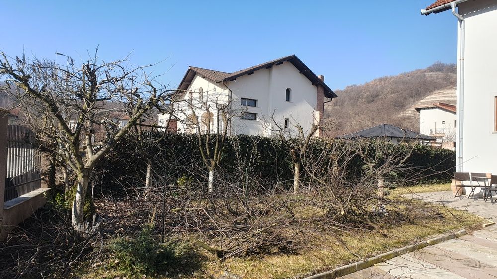 Drujbist tai lemne defrisez  toaletez pomi.