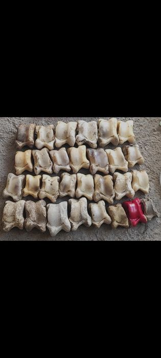 Асық ұлттық ойын Асық Асык Asik асык асик