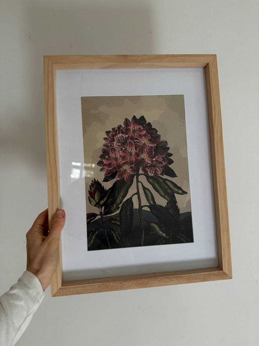 Picture frames and paintings JYSK (3 pieces + mirror)