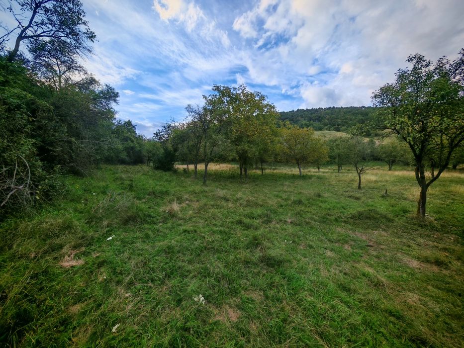 Teren de vânzare Vurpar