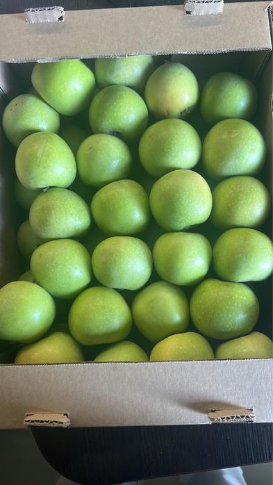 Яблоки высшего сорта гренни смит оптом в коробке. Алма гренни смит.