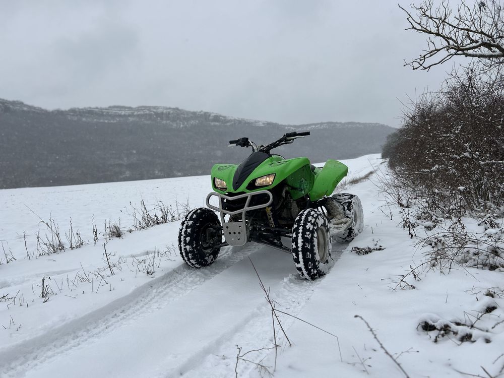 Kawasaki Kfx 700