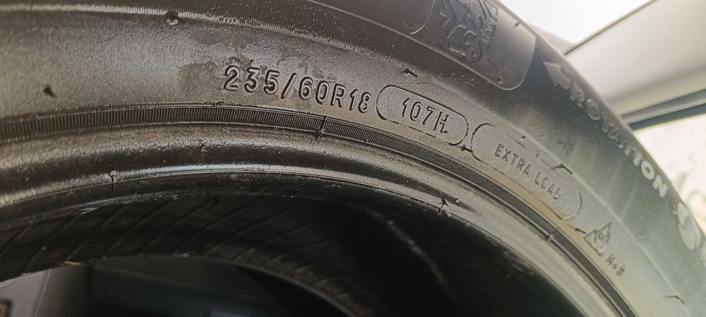 Гуми зимни мишалин