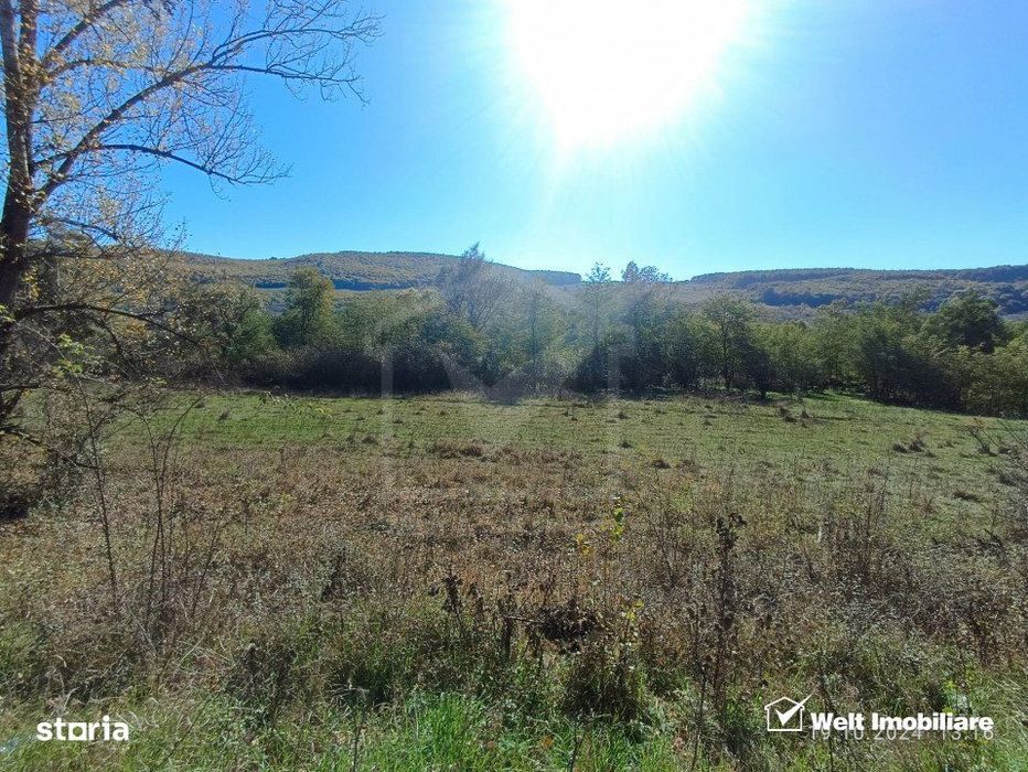 Teren extravilan de vanzare in Vultureni Cluj