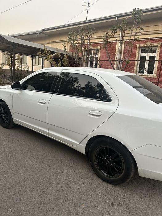 COBALT midningt 2025