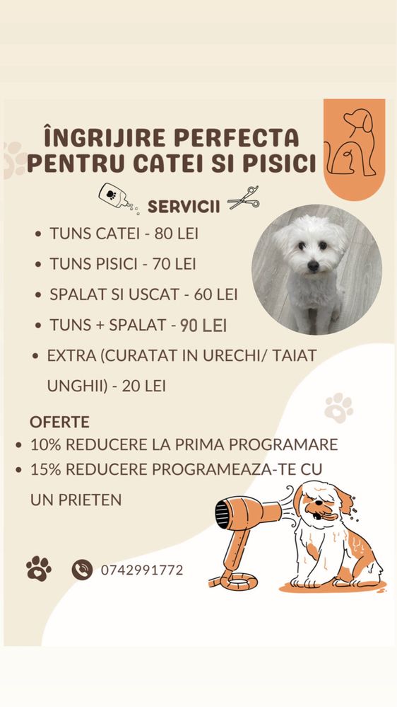 Tund catei talie mica la domiciliu