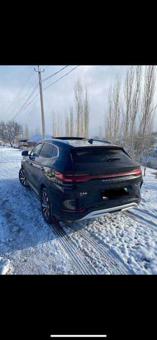 BYD Champion Qora