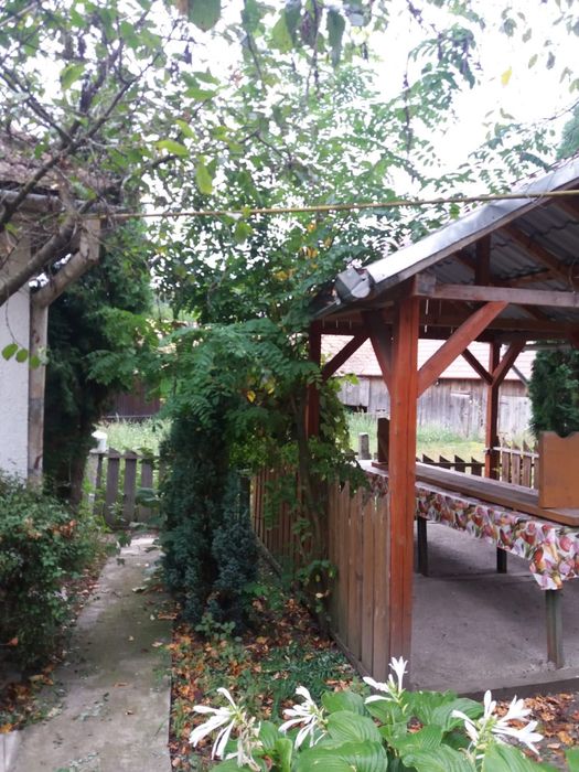 Casă și teren Sânmihaiul de Câmpie, BN