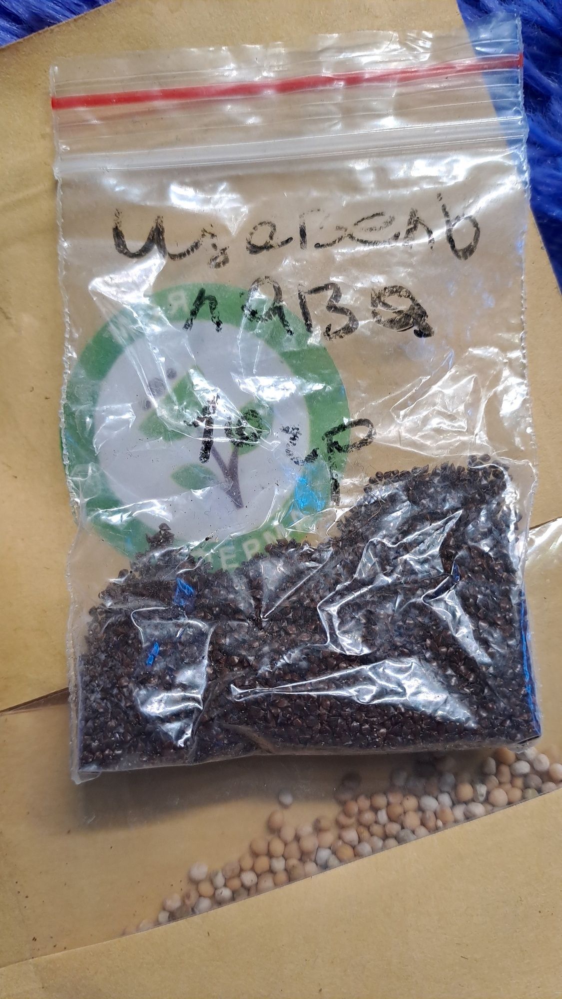 продам семена микрозелени
