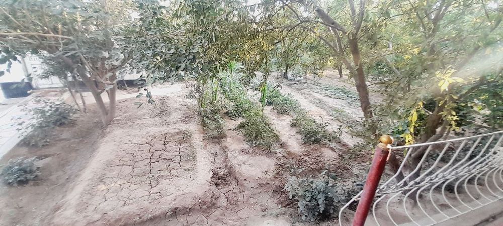 Уй    сотилади  арзон