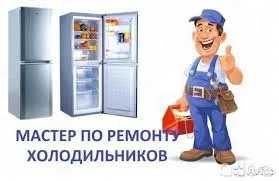 Ремонт Холодильников Морозильников Стиральных Машин Бирюса С Выездом