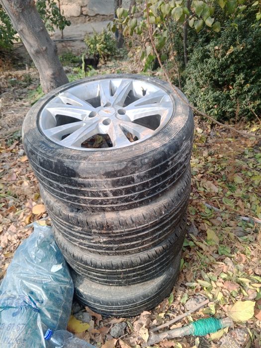 Каптива диска 16 размерда