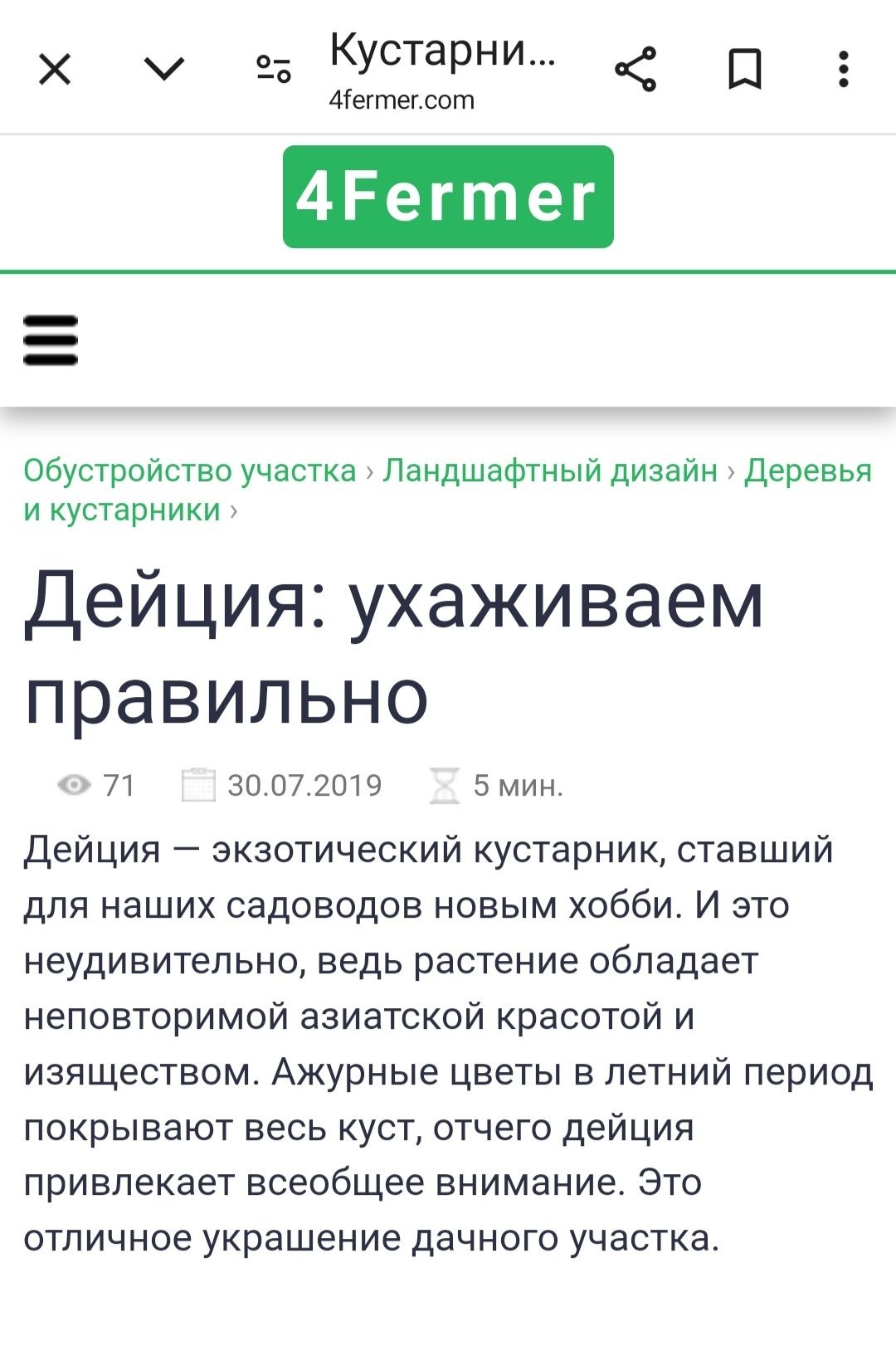 Кустарник "Дейция" декоративная