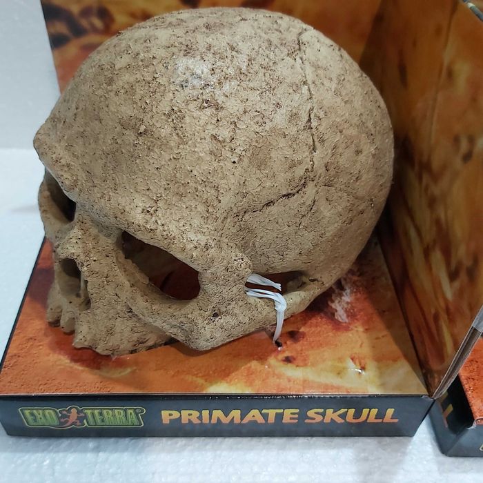 Декорация за терариум