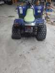 ATV polaris phoenix 250