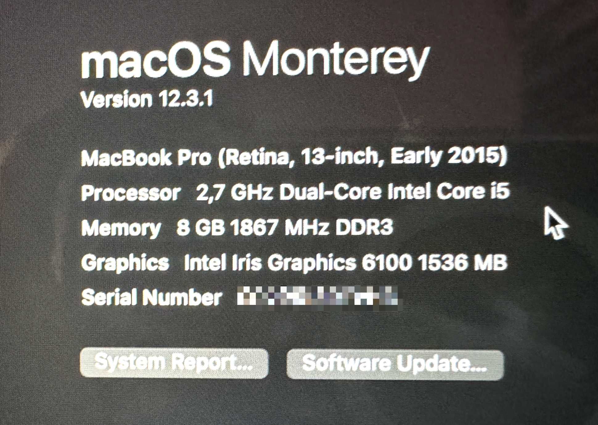 MacBook Pro (Retina, 13-inch, Early 2015)