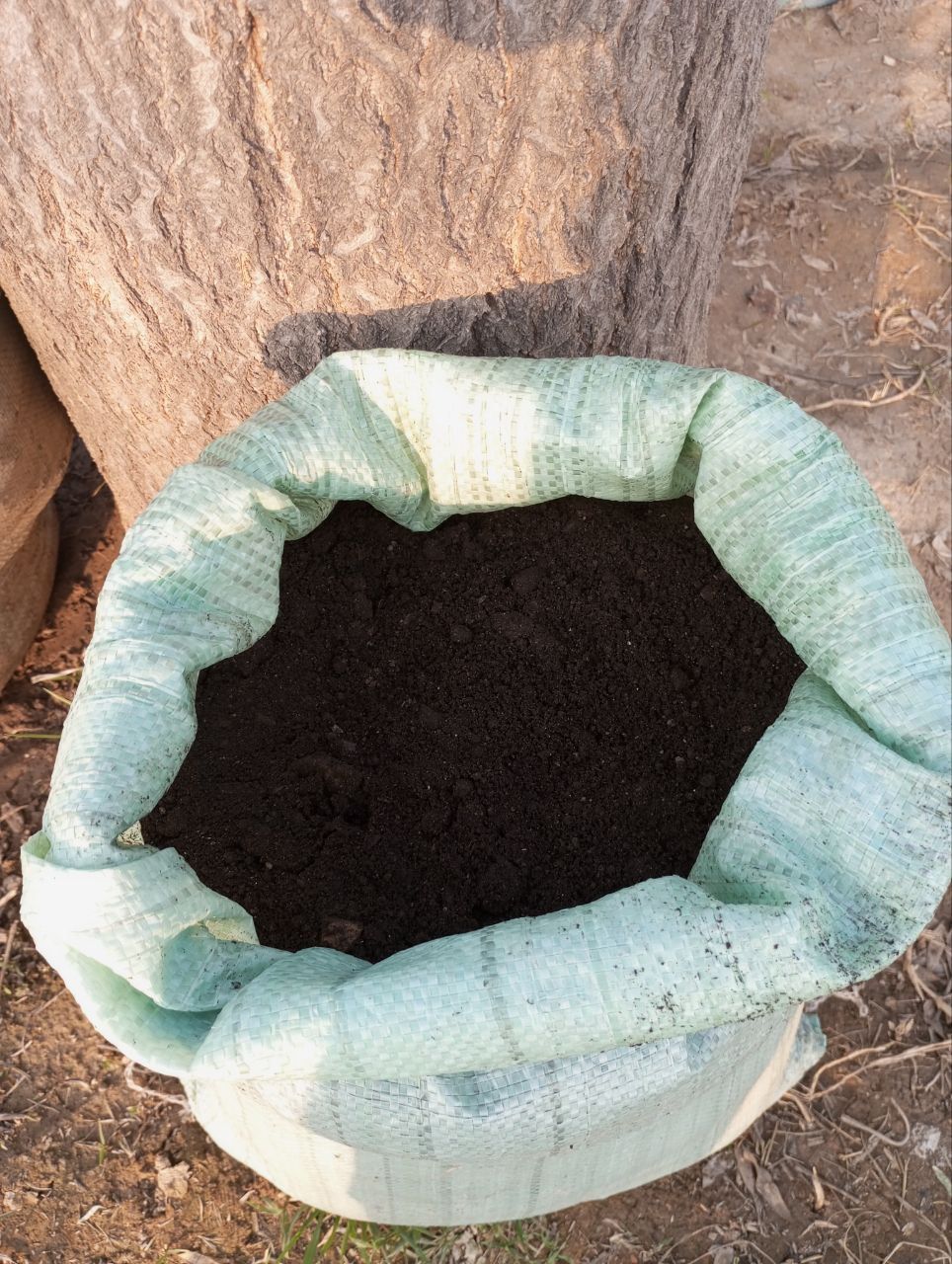 Bio gomus GAZON 10kg ekinlar va gullar uchun yovvoyi O'tlarsiz
