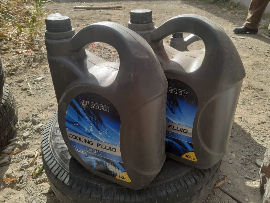 Тасол зимний Россия фирма