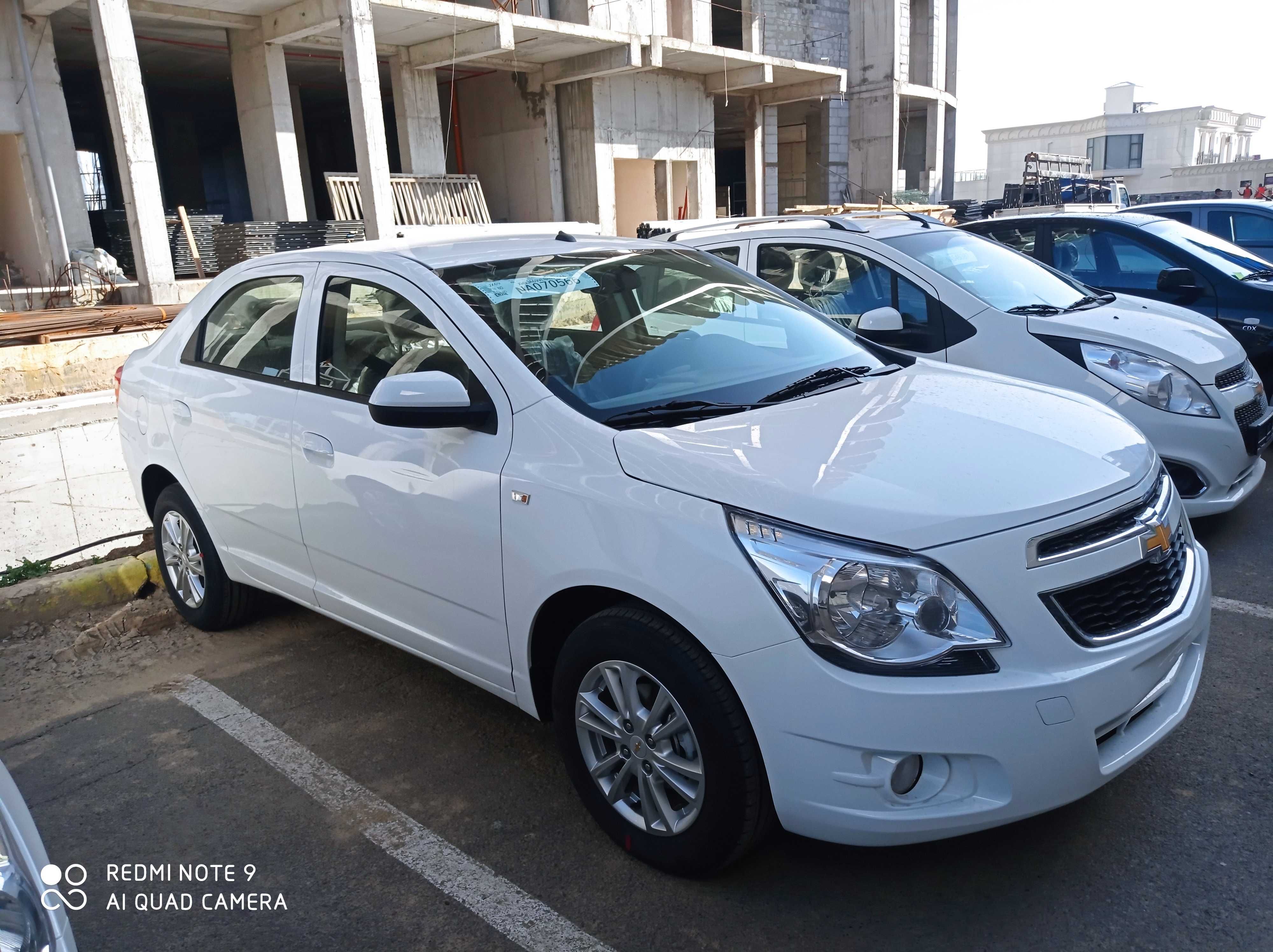 Cobalt STAYL 2025 Nataryus Tekin