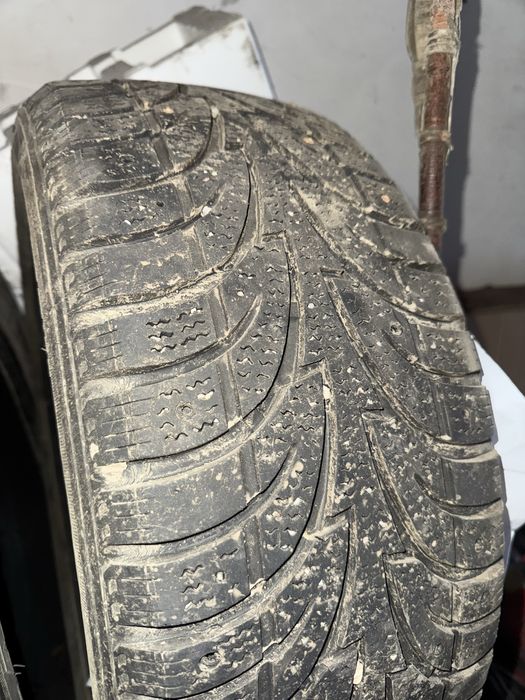 Зимние шины Sailun 215/55/17