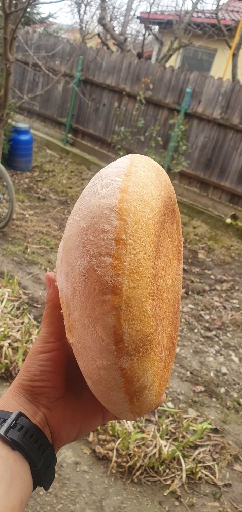 Pâine cu maia foarte gustoasă