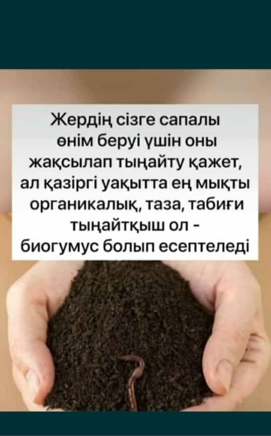 Биогумус сатамын, продам Биогумус