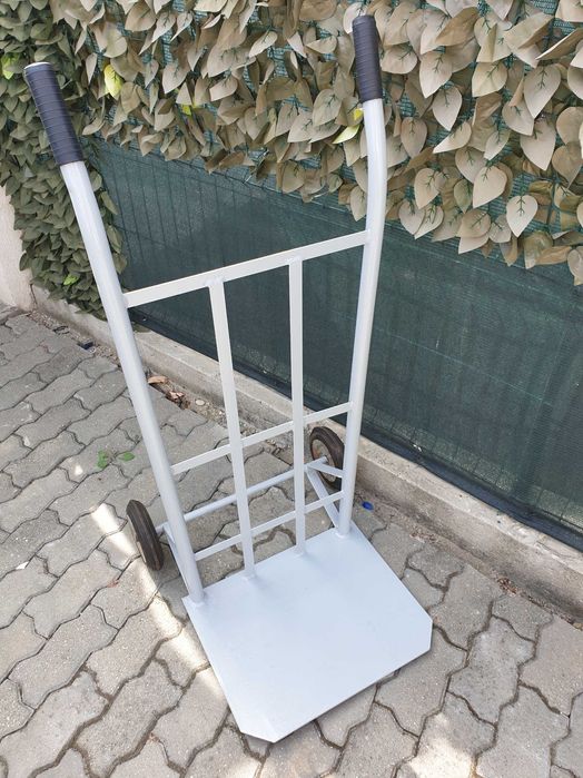 Liza Transport Marfa